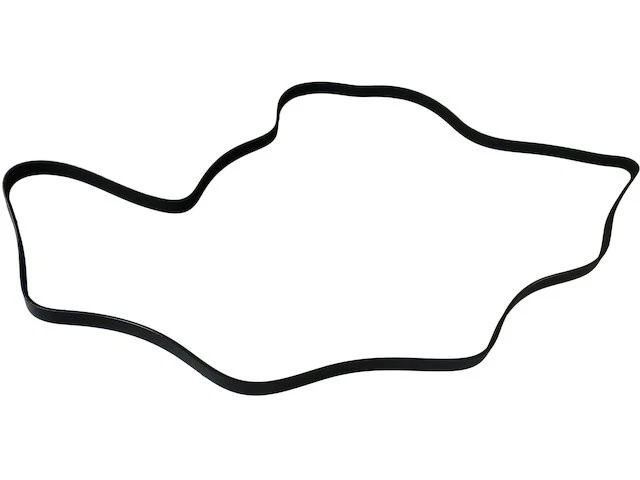 Cinturón multi costilla para Dodge Caliber 2008-2012 2009 2010 2011 GT869KP Foto 1 de 1