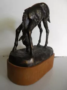 Solid Bronze horse- marked and Signed by Alberta Artist - Picture 1 of 5