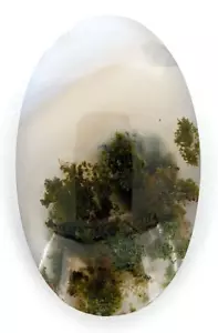 43.4ct Natural Moss Agate Oval Cabochon Scenic Landscape a633 - Picture 1 of 2