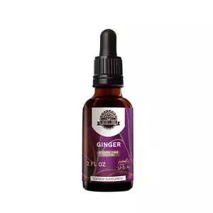 Earth's Love Ginger Alcohol-FREE Herbal Extract Tincture - Picture 1 of 7