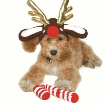 NWT XS DOG COSTUME HAT Rudolph the Reindeer Extra Small NEW Brown Gold Red - Image 1 of 4
