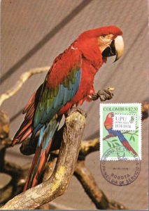 925+ FDC CARTE 1er JOUR COLOMBIE GRÜNFLÜGELARA - Picture 1 of 1