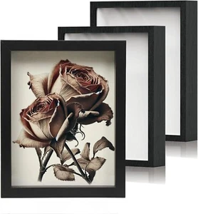 3Pc 8x10 Shadow Box Frame Set – Display Case for Crafts, Photos, Medals - Picture 1 of 7