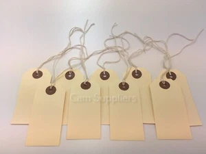 Large Reinforced Strung Tags Coloured Tags Luggage Labels 82mm x 41mm ST2 - Picture 1 of 12