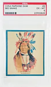 1933 V254 - PAPOOSE GUM - KANADA #6 GROSSE SCHLANGE starke Farben PSA 6 - EX/MT - Bild 1 von 2