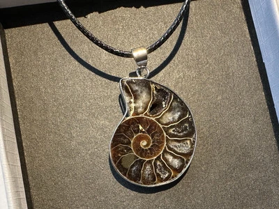 Collar colgante de plata de piedras preciosas fósiles de amonita genuino natural de colección Foto 1 de 4