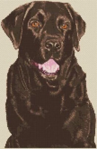 "Sporting Companion" Schokolade Labrador Kreuzstich Design (Kit oder Tabelle) - Bild 1 von 1