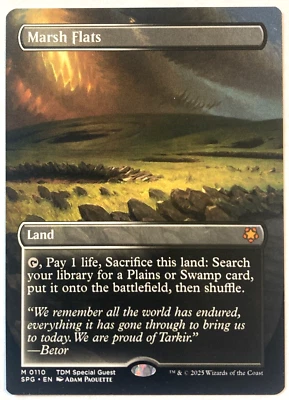 MTG Marsh Flats BORDERLESS Special Guests 110 NM - Image 1 of 4