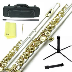 Flauta Sky Gold Plata Agujero C Abierto con Estuche, Soporte, Varilla de Limpieza, Paño y Más - Imagen 1 de 5
