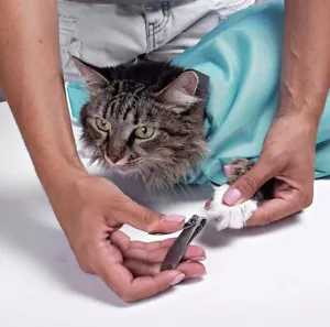 BORSA PERFETTA L'ORIGINALE COME SI VEDE IN TV. Comodo Trasportino per Gatti Lenitivo 1 Confezione - Foto 1 di 11