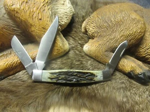 GERBER of OREGON  3 STAINLESS STEEL BLADED POCKET KNIFE w STAG HORN BONE SCALES - Picture 1 of 13