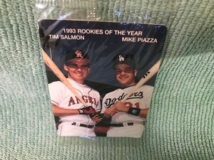 Tim Salmon-Mike Piazza baseball card