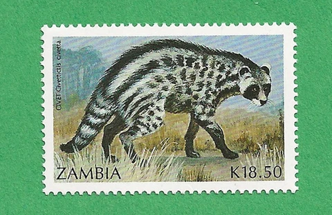 Zambia Scott 520 MNH 1990 African Civet stamp Cover