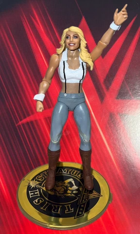 WWE Trish Stratus Custom Diva Becky Lynch Lita Smackdown RAW NXT Elite Fodder Cover