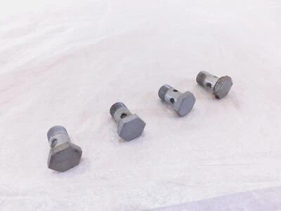 BMW F650 F650GS F650CS & R1200C R1200 Oil Pipe Hose Hollow Banjo Bleeder Bolts - Image 1 of 4
