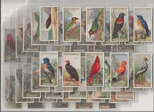 cigarette cards foreign birds Ogden's full set 1924