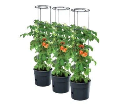 Tomato Grower Pot Planter Growing Set Support Home Garden Indoor Outdoor UK 12L