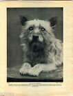 1930 Book Plate Print Cairn Terrier Yours Command Spinnel Joan Mirrice
