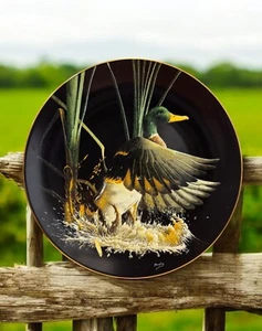 On the Wing Serie: Plates #2 - Rising Mallard Black Background Duck Mallard 1992 - Bild 1 von 2