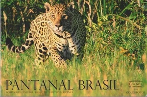 Pantanal Brasil - Colorfotos. - Picture 1 of 1