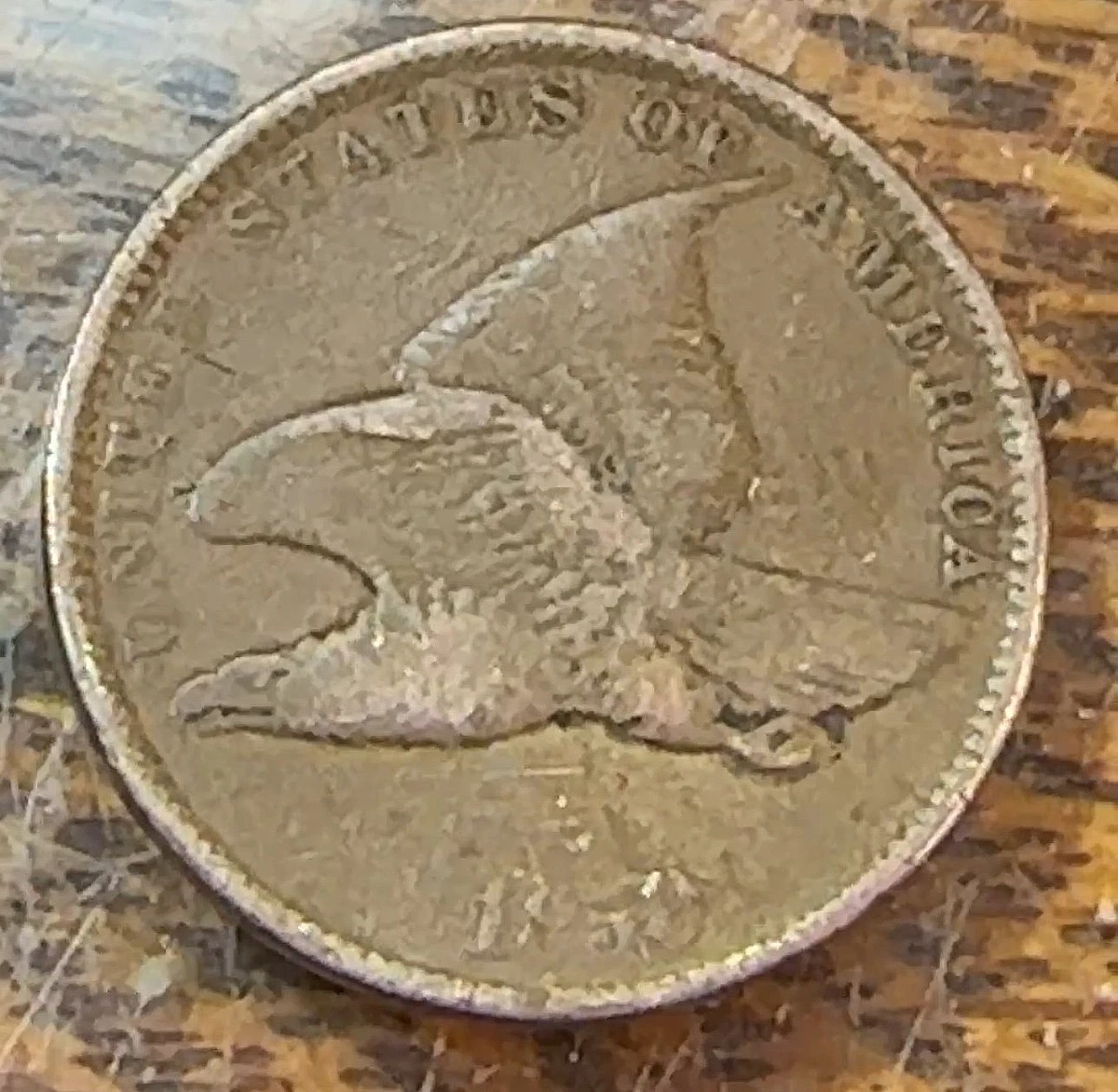 1858 Flying Eagle Small Cents for sale | eBay