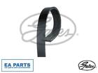 V-Ribbed Belts for CITRON FIAT MINI GATES 6PK870