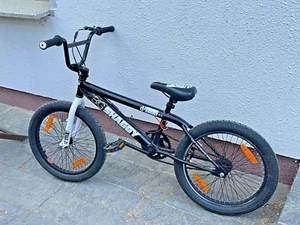 BMX Freestyle 20 Zoll Big Shaggy Kinder/Jugendliche unisex schwarz/weiß - Bild 1 von 5