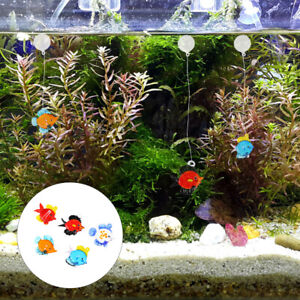  10 Pcs Tank-Dekor Fischdekoration Aus Glas Aquarium Zubehör Schmücken