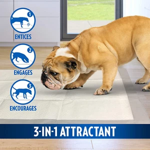 tappetini assorbenti per cani e Cuccioli 5 strati anti odore Moisture Lock - Foto 1 di 7