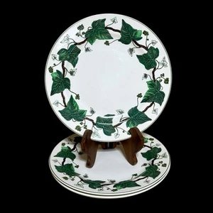4er Set Wedgwood, Etruria & Barlaston Napoleon Efeu 9" Mittagessen Teller 1,5" Rand - Bild 1 von 9