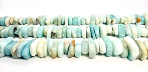 Ammonit glatt poliert Chips ca. 20x12x7 mm 16 Zoll Strähnen - Bild 1 von 4