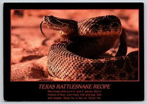 Recetas de serpiente de cascabel para cocinar alimentos para hornear - Imagen 1 de 2