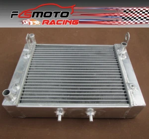 Aluminum Radiator For CAN-AM/CANAM RENEGADE 500/800/800R EFI 2007-2012 08 09 10 - Bild 1 von 6