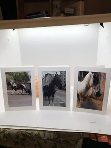 Set Of 3 Horse Blank Photo Cards - Horses Of The South - Bild 1 von 7