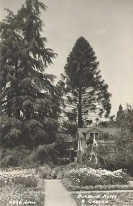 Postal RPPC California CA Santa Rosa Santa Clara Co. Luther Burbank Home Laws - Imagen 1 de 2