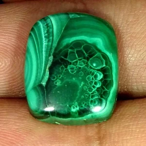 17.20 Cts Natural Malachite Gemstone Cushion Artisan Cabochon 14X18X4MM - Picture 1 of 7
