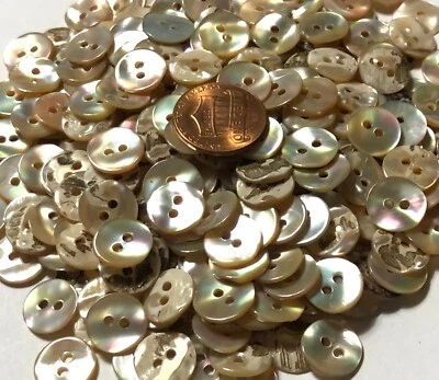 8 PCS ONLY Small Curved Iridescent Beige Awabi Abalone Buttons 11mm 7/16" 11692 - Image 1 of 4