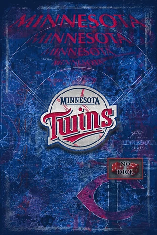 MINNESOTA TWINS Poster, Minnesota Twins MLB Baseball Print Free Shipping Us Cover