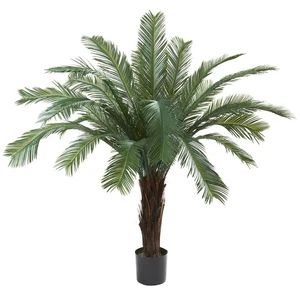 5 Cycas Tree UV Resistant - (Indoor/Outdoor) - Picture 1 of 1