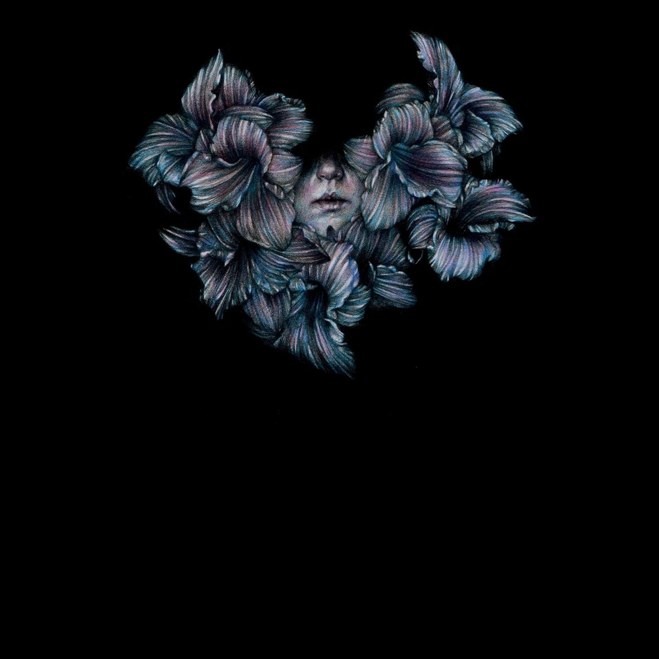 A Lot Like Birds DIVISI (Vinyl) - Image 1 of 1