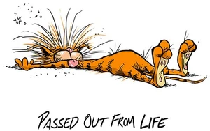 Bill Il Gatto Svenuto Ferro On Transfer - Maglietta + Tessuti Chiari e Scuri #4 - Foto 1 di 4