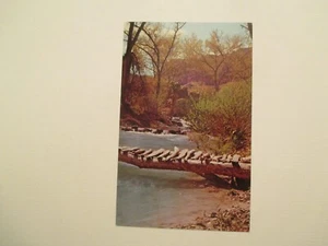 Supai Arizona Postcard Havasupai Reservation Unique Foot bridge AZ - Picture 1 of 2