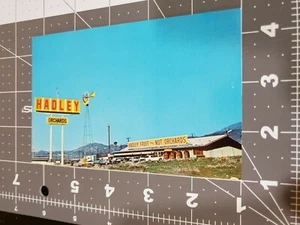 Hadley's Fruit and Nut Orchards in Cabazon California Post Card - Picture 1 of 2