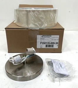 Progress Lighting P350135-009-30 Inspire Brushed Nickel LED Flush Mount New - Picture 1 of 3