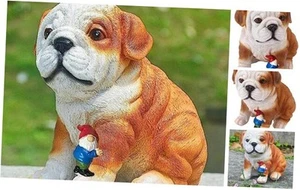 Funny Garden Gnome Statue Sharpei Sculpture, Cute Dog Figurine Lawn Ornament - Picture 1 of 7