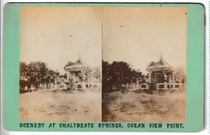 Antique Stereoview Columbia Spring Ocean View Point Pigeon Cove Massachusetts MA - Picture 1 of 4