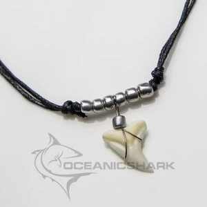 Real shark tooth necklace not fossil shark for sale c7 - Picture 1 of 5