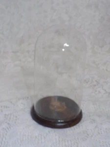 Alte Glaskuppel Deutsch Französische Miniatur Puppe Display Antik Puppe - Bild 1 von 5