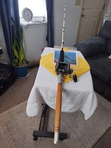 Penn Special Senator Fishing Rod 6'6" Heavy 30-50lb And Reel 113 HL - Picture 1 of 17