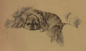 Pekingese - CUSTOM MATTED - Lucy Dawson Dog Art Print - NEW - Picture 1 of 1